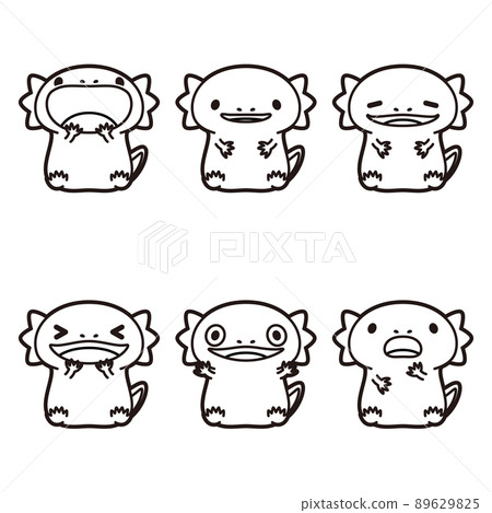 蠑螈著色書 6 型套裝 蠑螈著色書 6 型套裝 89629825