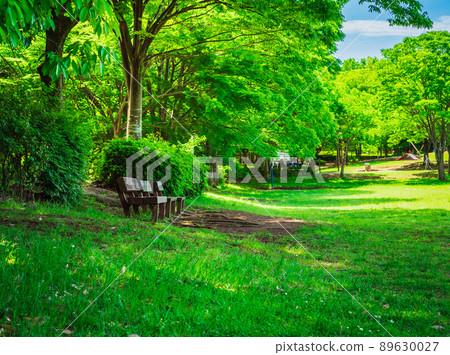 Fresh green park and shaded bench Fresh green park and shaded bench 89630027
