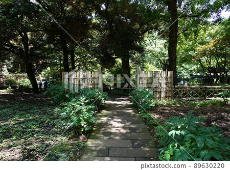 Entrance to the garden with sunbeams Entrance to the garden with sunbeams 89630220