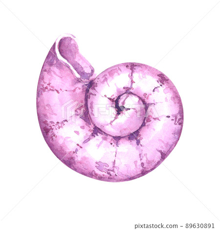 Watercolor shell on a white background - Stock Illustration [89630891 ...