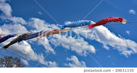 It is a carp streamer of various sizes and colors that swims in the clear blue sky. It is a spring tradition along the Atsubetsu River in Sapporo. 89631150