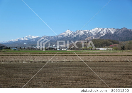 Scenery of spring and Hokkaido (Nakafurano Town, Hokkaido) Scenery of spring and Hokkaido (Nakafurano Town, Hokkaido) 89631200