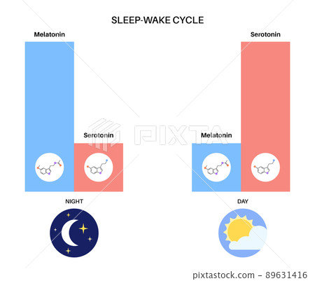Sleep wake cycle 89631416