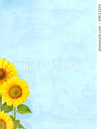 Sunflower and natural light blue background Sunflower and natural light blue background 89631854
