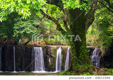 Fresh green scenery of Takemakeikoku and Kuginohana Falls where the refreshing breeze of early summer shakes the blue maple 89631946