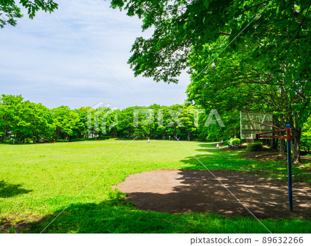 郊區住宅區,清新的綠色公園 郊區住宅區,清新的綠色公園 89632266