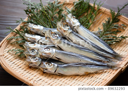 Etrumeus sadina (2) 89632293