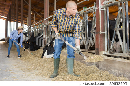 Male farmer working on dairy farm in cowshed 89632595