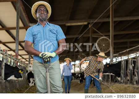 Portrait of an african american male farmer standing in a cowshed 89632880