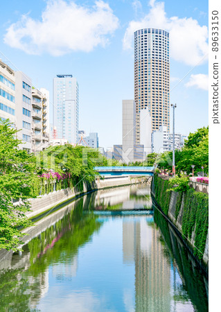 [Tokyo] Fresh green Nakameguro (May) 89633150