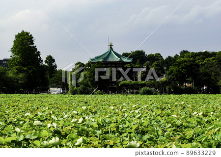 Shinobazu Pond Benten-do and one side of lotus leaves 89633229