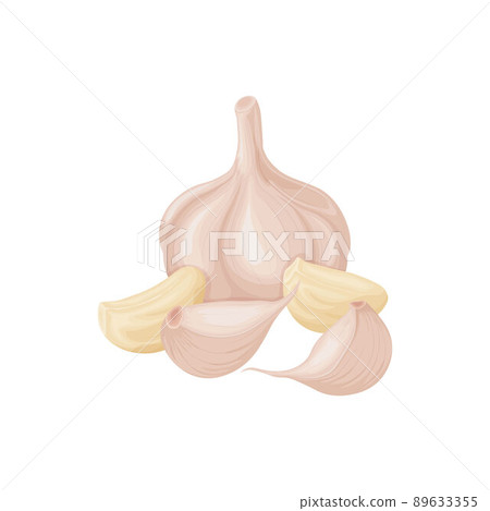 Garlic. Image of garlic heads. Vitamin product for seasoning, for cooking. Vector illustration isolated on a white background Garlic. Image of garlic heads. Vitamin product for seasoning, for cooking. Vector illustration isolated on a white background 89633355