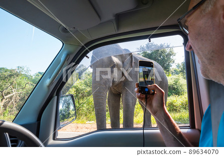 Elephant on road Elephant on road 89634070