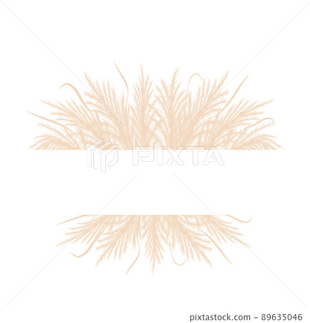 Frame with dry pampas grass. Border with beige cortaderia in boho style. Vector dried flowers isolated on white background. Trendy element design for invitations, postcards, social media 89635046