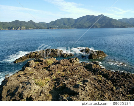 海 89635124