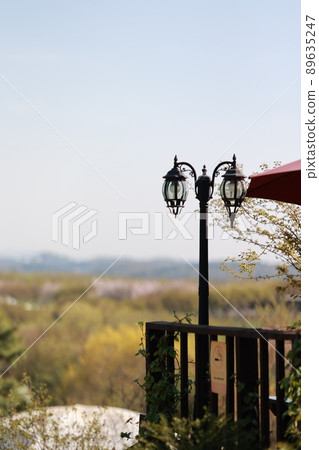 春天的花園,玉蘭 春天的花園,玉蘭 89635247