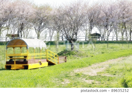 春天的花園,玉蘭 春天的花園,玉蘭 89635252