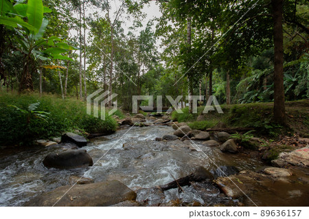 Asia, Erawan Waterfall, Kanchanaburi Province, Thailand, Forest 89636157
