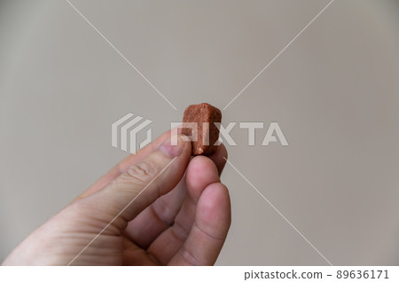 A man is holding a chewable flea and tick pill for pets in his hand. Veterinary medicine for oral use without packaging. Close-up. Selective Focus. A man is holding a chewable flea and tick pill for pets in his hand. Veterinary medicine for oral use without packaging. Close-up. Selective Focus. 89636171