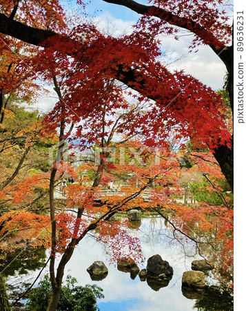 京都日本花園池塘的秋葉景觀 京都日本花園池塘的秋葉景觀 89636231