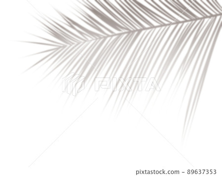 帶有棕櫚葉陰影的時尚背景 帶有棕櫚葉陰影的時尚背景 89637353