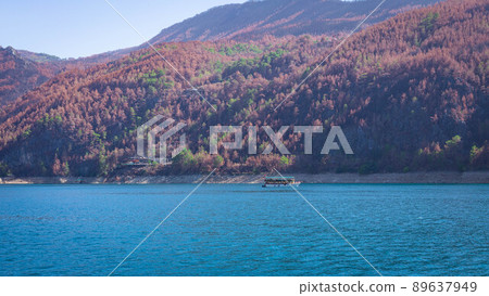 View of the green water of Oymapinar Dam with red trees on the shore 89637949