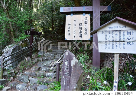 Hakone Town Sukumogawa Nature Exploration Trail Entrance and Wariishizaka Information Board Hakone Town Sukumogawa Nature Exploration Trail Entrance and Wariishizaka Information Board 89638494