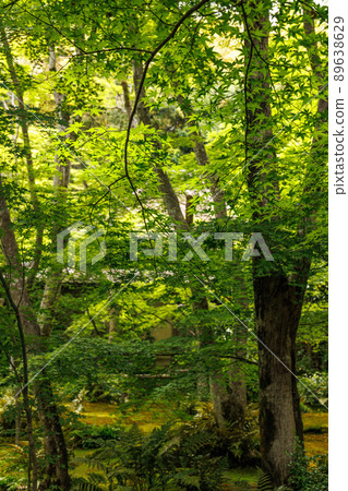 Temple of the fresh green 89638629