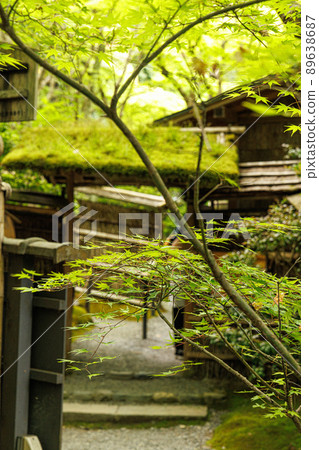 Temple of the fresh green Temple of the fresh green 89638687
