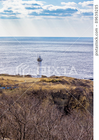 [Sado Geopark, Niigata Prefecture] Topography made of submarine volcano Sawasaki Lighthouse 89639285