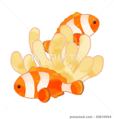 小丑魚和海葵水彩手繪插畫素材 89639944