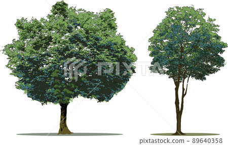 Tree tree set Tree tree set 89640358