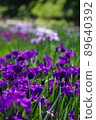 Purple flower bowl 89640392