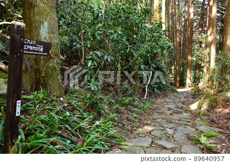 Hakone Town Sukumogawa Nature Exploration Trail (wariishizaka) and stone pavement in the Edo period Hakone Town Sukumogawa Nature Exploration Trail (wariishizaka) and stone pavement in the Edo period 89640957