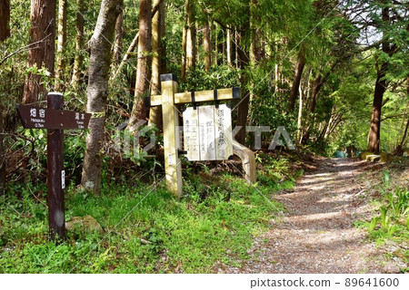 Hakone Town Sukumogawa Nature Exploration Trail Entrance (towards Yumoto) and directions Hakone Town Sukumogawa Nature Exploration Trail Entrance (towards Yumoto) and directions 89641600