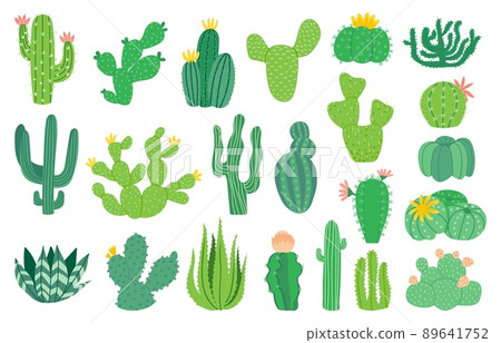 Cactus plant. Cartoon decorative exotic succulent, tropical desert plant. Vector mexican aloe isolated set 89641752