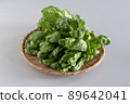 Kanazawa Chrysanthemum on the bamboo colander 89642041