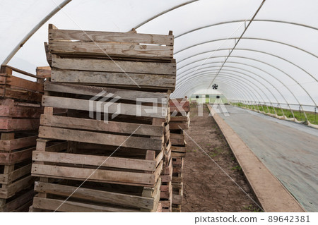an empty greenhouse, prepared for growing flowers or agricultural products, in the foreground wooden boxes an empty greenhouse, prepared for growing flowers or agricultural products, in the foreground wooden boxes 89642381