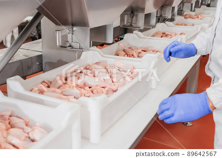 Conveyor Belt Food.The meat factory.Automated production line in modern food factory.Containers on a conveyor line with raw chicken drumstick.Factory for the production of food from meat,poultry. Conveyor Belt Food.The meat factory.Automated production line in modern food factory.Containers on a conveyor line with raw chicken drumstick.Factory for the production of food from meat,poultry. 89642567