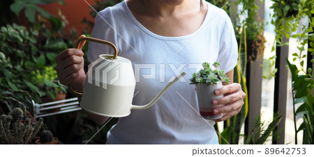 woman plant cactus succulent garden watering can hobby lifestyle art tree green houseplant home leisure selective focus 89642753