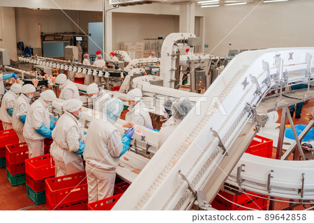 Modern poultry processing plant.Factory for the production of food from meat.Conveyor Belt Food.Automated production line in modern food factory. 89642858