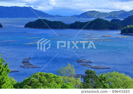 牡蠣筏漂浮在瀨戶內海 89643885