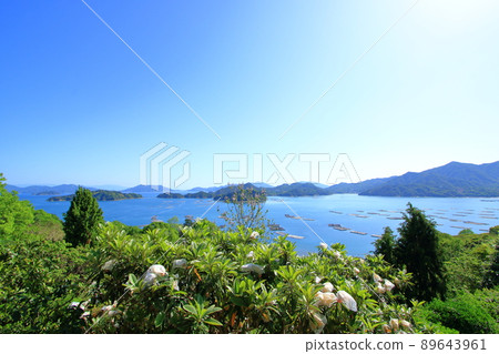 美麗的春天瀨戶內風景在您的眼前蔓延 美麗的春天瀨戶內風景在您的眼前蔓延 89643961