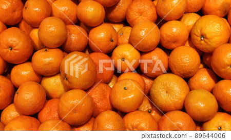 Group of orange background. Fresh tropical summer. 89644006