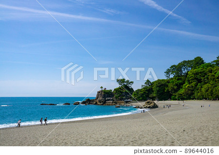 Sunny Katsurahama 89644016