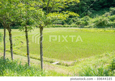 景觀與剪刀 89644185