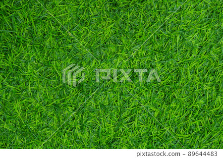 Close-up and top view green grass background texture, green lawn pattern and texture background. 89644483