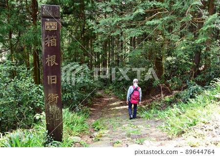 Hakone Town National Historic Site Hakone Old Highway Guide, Hakone Old Highway and Hiker 89644764
