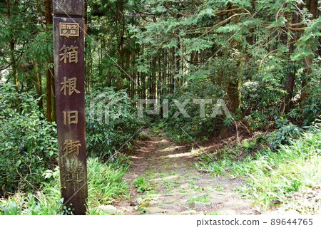 Hakone Town National Historic Site Hakone Old Highway Guide and Hakone Old Highway Hakone Town National Historic Site Hakone Old Highway Guide and Hakone Old Highway 89644765