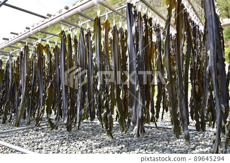 Photographing the scenery of dried kelp at Yamasedomari fishing port in Hakodate, Hokkaido in spring 89645294